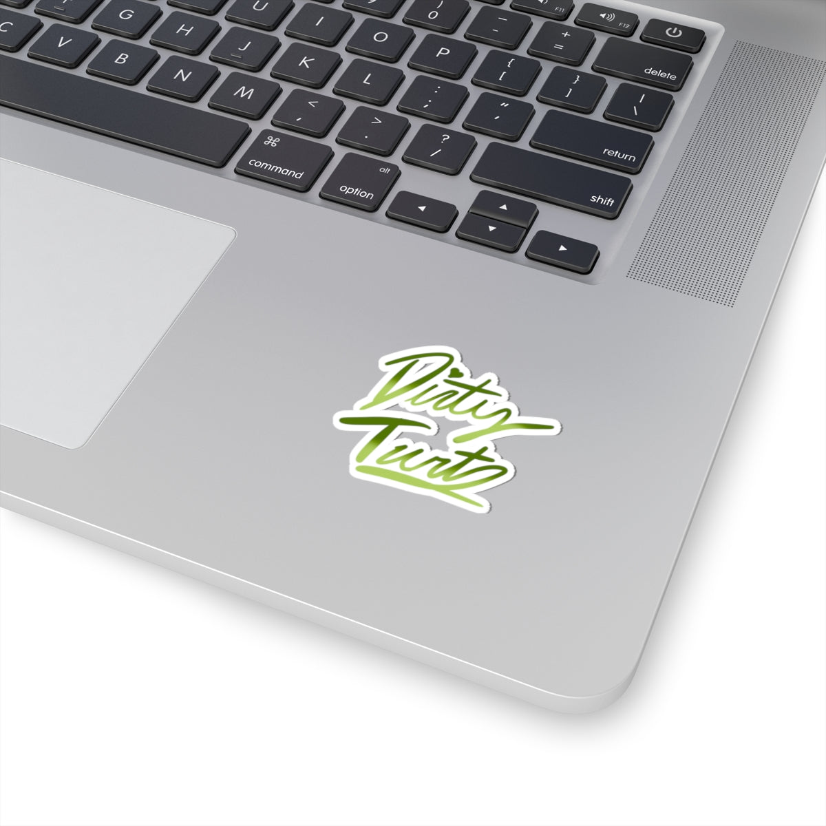 Dirty Turt Sticker —